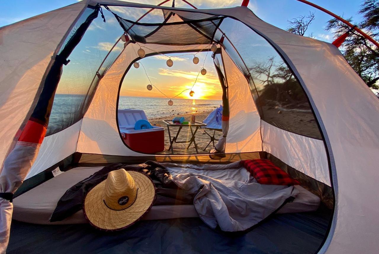Epic Maui Car Camping Kahului Exteriör bild
